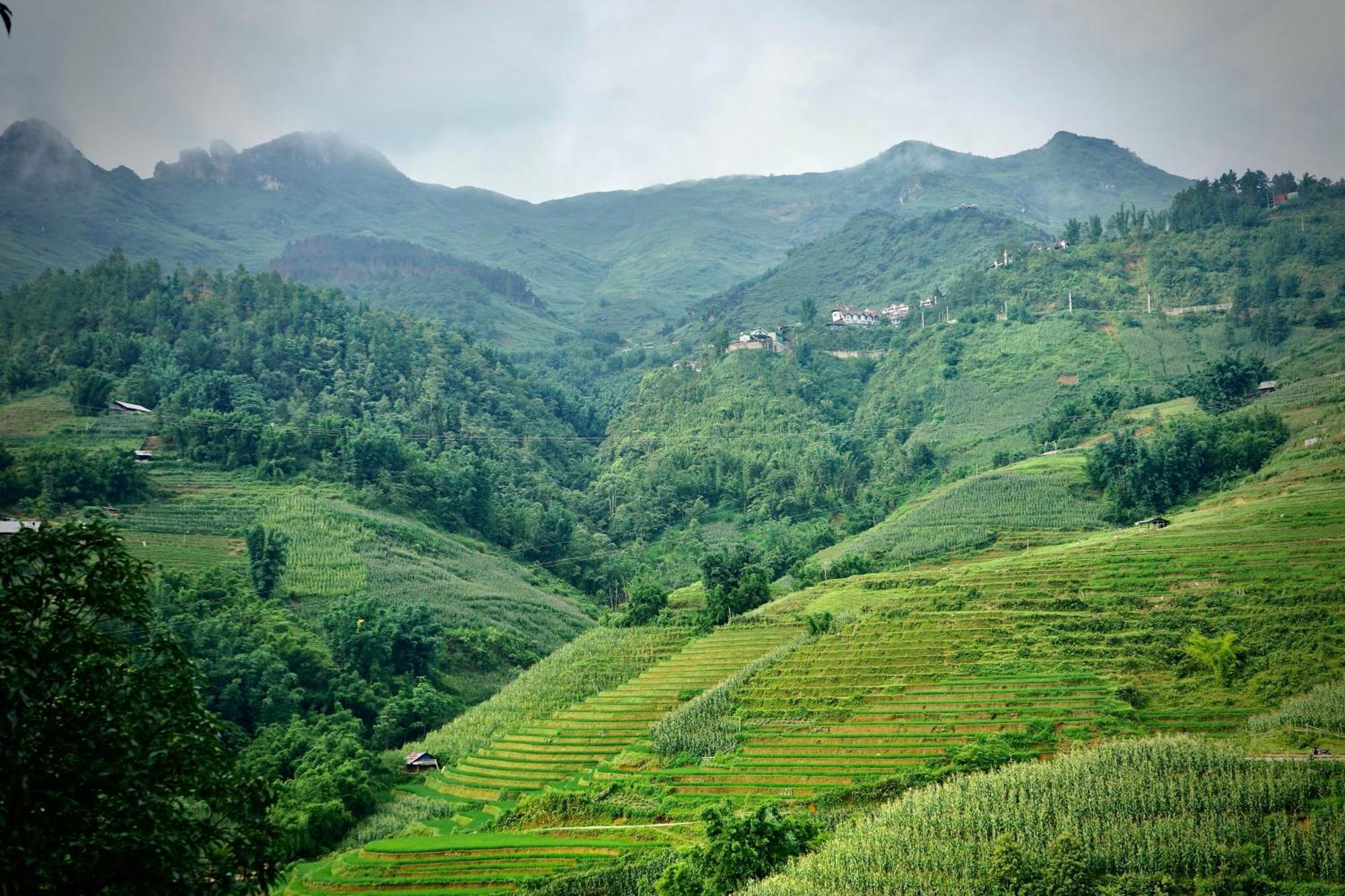 Sapa Hillcrest Homestay ラオカイ エクステリア 写真