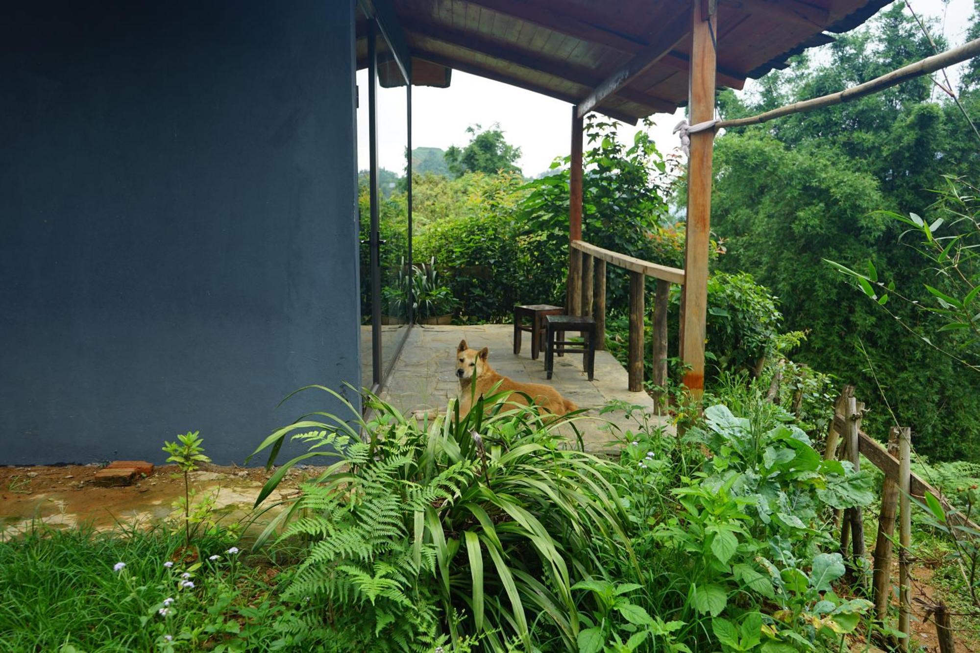 Sapa Hillcrest Homestay ラオカイ エクステリア 写真